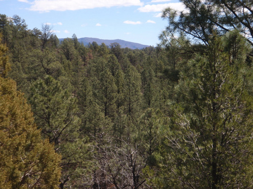 We cross a ridgeline high enough to see further ahead.